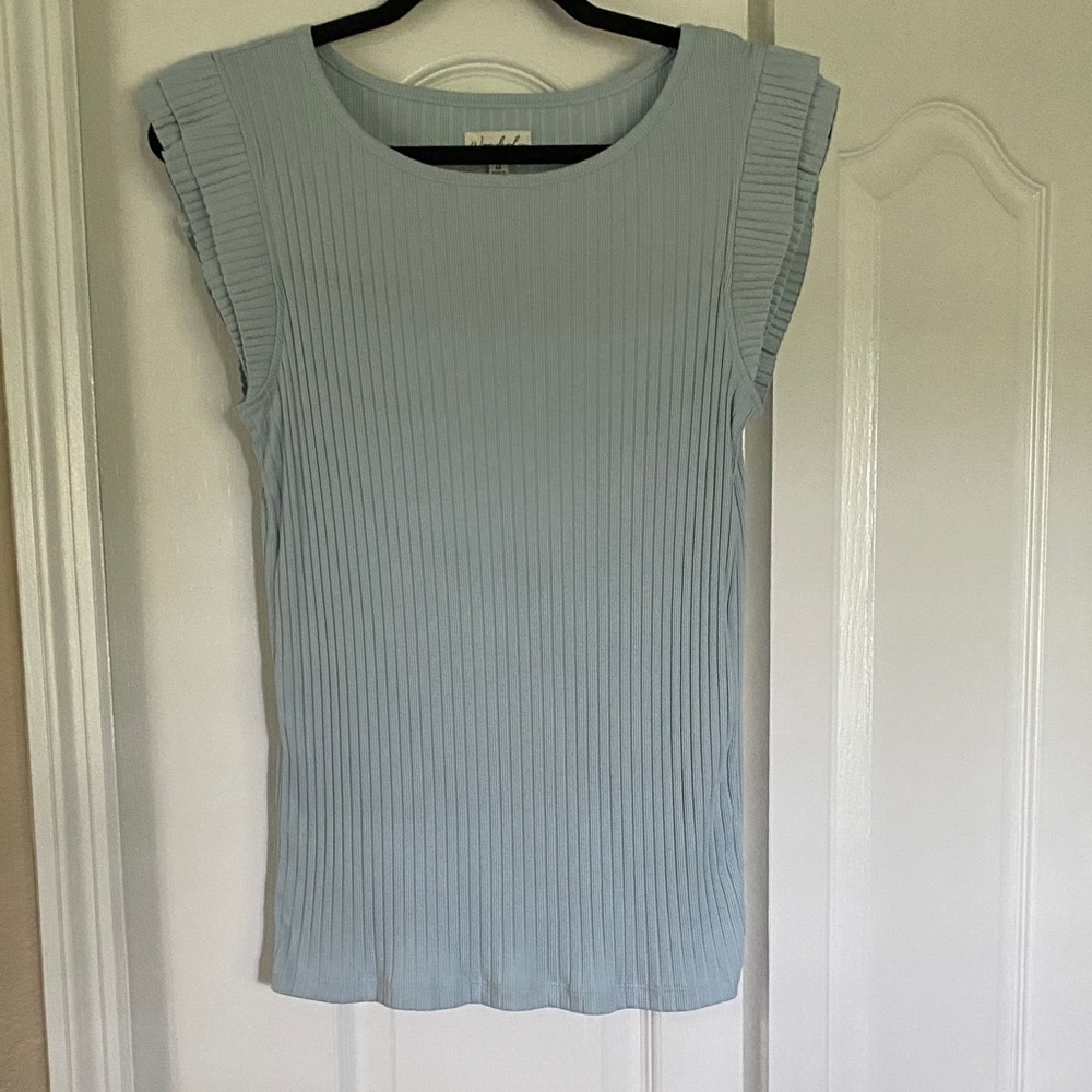 Wonderly Light Blue Top